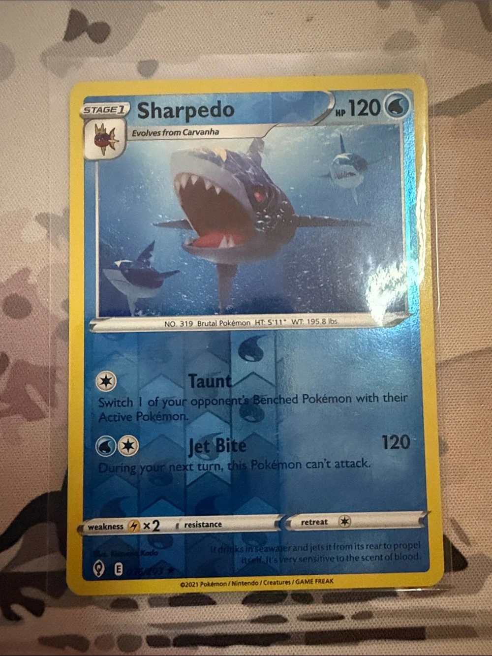 Carvanha & Sharpedo Reverse Holo Pokémon Evolution Card Lot 🦈 | 4 Cards ✨5/$25✨